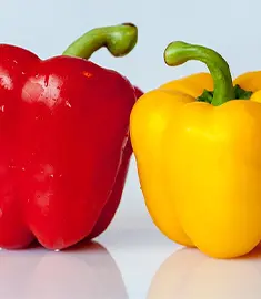 فلفل دلمه ای